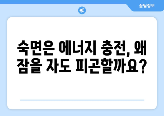 수면의 질 저하가 피로감을 높이는 이유| 왜 잠을 자도 피곤할까? | 수면 부족, 수면 장애, 피로 해소