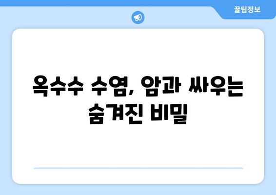 옥수수 수염 추출물의 항암 효과| 연구 결과 및 활용 | 암 예방, 건강 식품, 천연 항암제