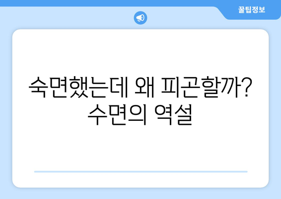 수면의 역설| 왜 자면 자는 것 같아도 피곤할까? | 수면 부족, 수면 장애, 피로 해소