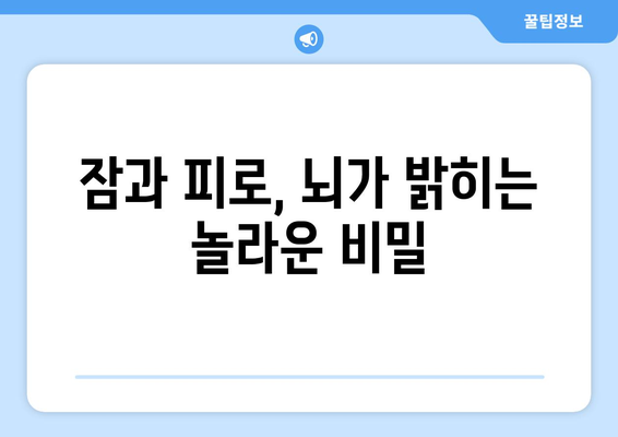 과도한 수면이 피로를 부르는 이유| 뇌의 놀라운 비밀 | 수면, 피로, 두뇌, 건강