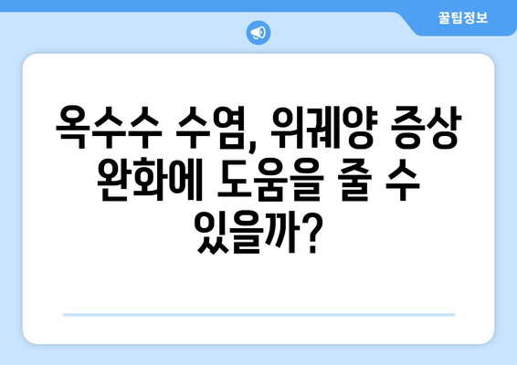 옥수수 수염, 위궤양 극복의 희망? | 옥수수 수염, 위궤양 예방 및 치료 효과 연구