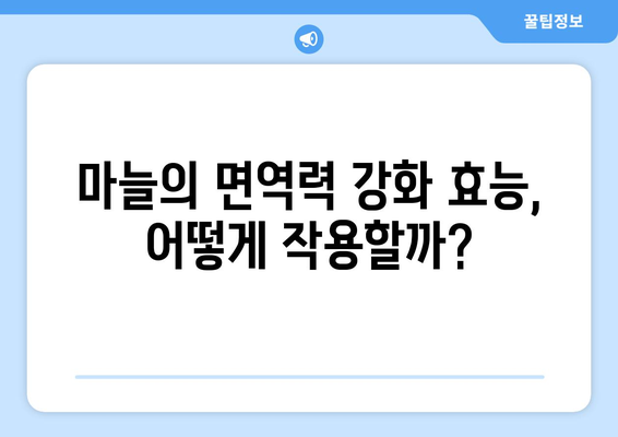 생마늘 vs 구운 마늘| 면역력 강화 효과 비교 분석 | 면역 체계, 건강, 마늘 효능