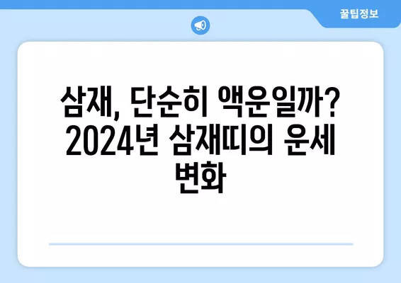 2024년 삼재띠, 꼭 알아야 할 조심해야 하는 띠와 이유 | 삼재, 운세, 띠별 운세, 2024년 운세