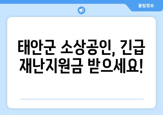 태안군 소상공인 긴급재난지원금 신청 안내| 대상, 방법, 필요서류 총정리 | 재난지원금, 신청기간, 지원금액