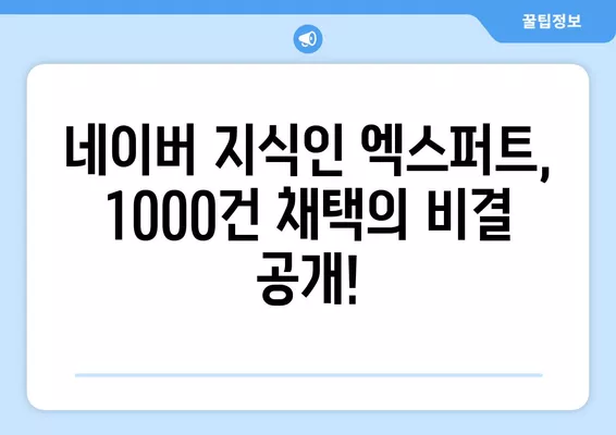 네이버 지식인 엑스퍼트, 1000건 채택의 비밀| 자격조건 완벽 분석 | 엑스퍼트 되는 방법, 전문가 팁, 성공 전략