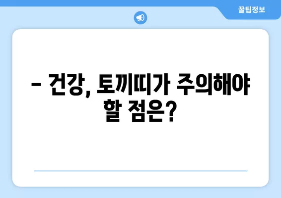 2022년 토끼띠 운세 완벽 분석| 금전운, 사업운, 연애운, 건강운까지! | 토끼띠 운세, 2022 운세, 운세 해설