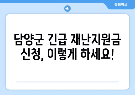 담양군 긴급 재난지원금 신청 완벽 가이드| 신청 방법 & 홈페이지 | 담양군, 재난지원금, 신청, 지원 대상, 서류