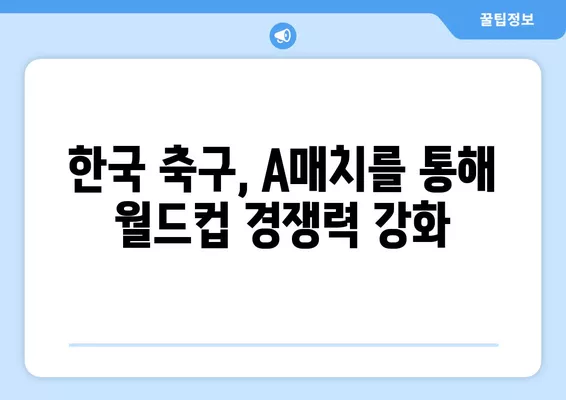 🇰🇷 축구 국가대표팀 평가전 경기 중계 & 일정 총정리| 브라질, 칠레, 파라과이, 이집트 | 한국 축구, A매치, 중계 정보