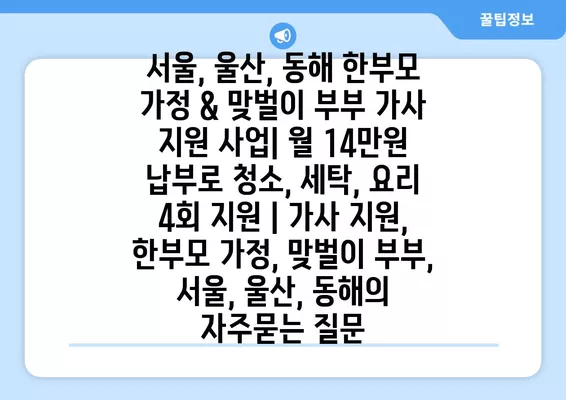 서울, 울산, 동해 한부모 가정 & 맞벌이 부부 가사 지원 사업| 월 14만원 납부로 청소, 세탁, 요리 4회 지원 | 가사 지원, 한부모 가정, 맞벌이 부부, 서울, 울산, 동해