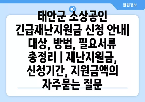 태안군 소상공인 긴급재난지원금 신청 안내| 대상, 방법, 필요서류 총정리 | 재난지원금, 신청기간, 지원금액