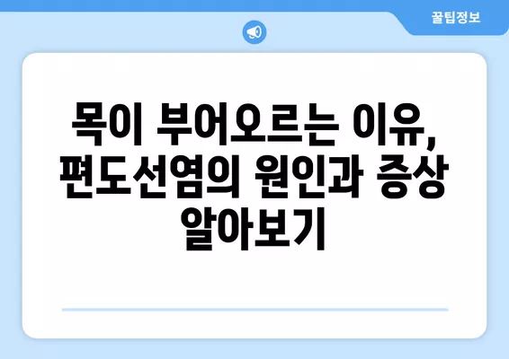 편도선염, 붓는 이유부터 합병증까지! 목 건강 관리 완벽 가이드 | 편도선, 염증, 목 통증, 건강 관리